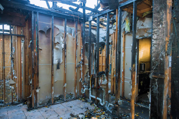 Professional Fire Damage Removal technician working in North Port, FL