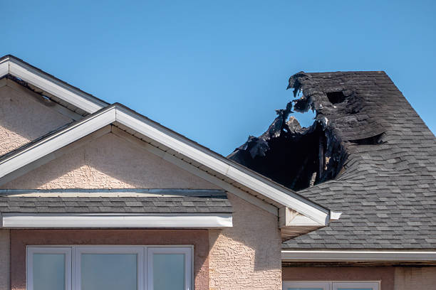 Top rated local Fire Damage Removal specialists in North Port, FL